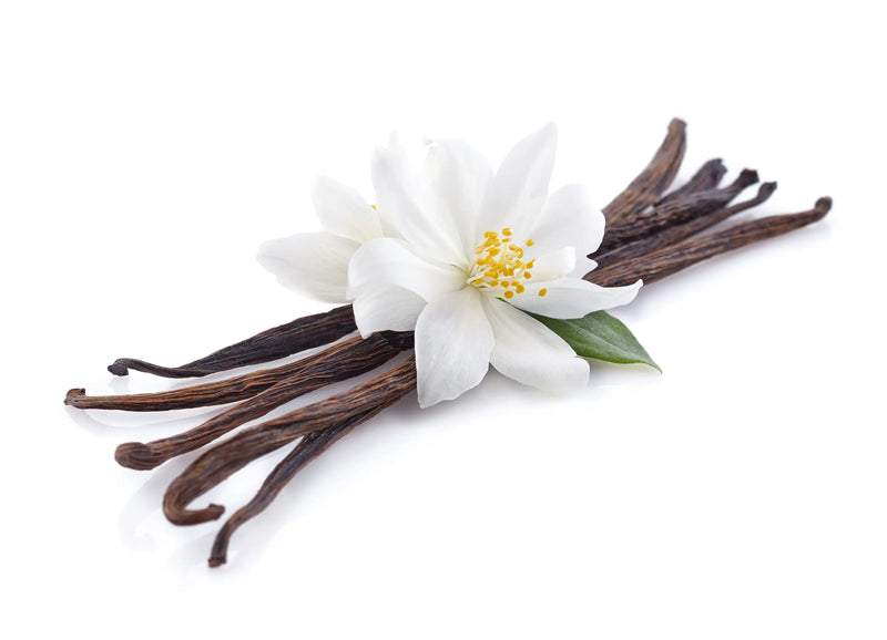 Vanilla/Gourmand